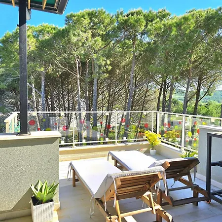 Elegant Penthouse With Huge Terrace *